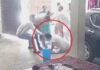 Chandauli news- सपा महिला जिलाध्यक्ष को बाल पकड़कर घसीटा, बेरहमी से पीटा, घटना सीसीटीवी कैमरे में कैद