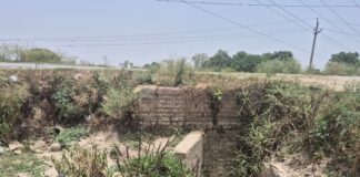Chandauli news- तेन्दुई ईटवा ड्रेन की सफाई नहीं होने से किसानों का लाखों का नुकसान