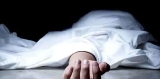 Chandauli news- उपलों में छिपे जहरीले सांप ने डसा, इकलौते बेटे की मौत से परिवार में मचा कोहराम