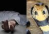 Chandauli news- सांप पकड़ने गए सपेरे की सर्पदंश से मौत, परिवार में मचा कोहराम