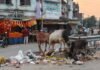 Chandauli news- शारदीय नवरात्र में सफाई व्यवस्था बदहाल, सड़कों पर गंदगी से परेशानी; व्यापारियों में आक्रोश